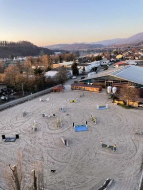 Attraktive Reitanlage an der schweizer Grenze mit vielfältigen Nutzungsmöglichkeiten, 79713 Bad Säckingen, Halle