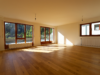 Frisch renovierte Maisonettewohnung mit Charme in Freiburg-Littenweiler - Wohnzimmer