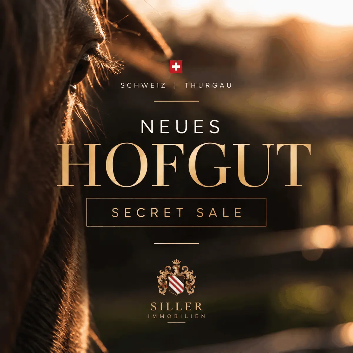 Titelbilf