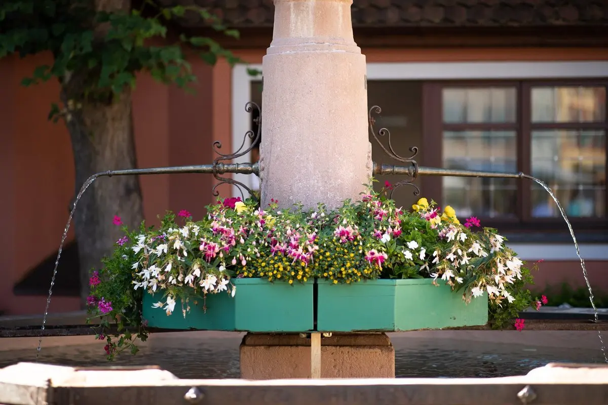 Brunnen