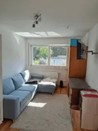 Zimmer